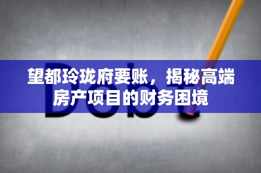 望都玲珑府要账，揭秘高端房产项目的财务困境
