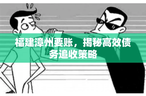 福建漳州要账，揭秘高效债务追收策略