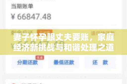 妻子怀孕跟丈夫要账，家庭经济新挑战与和谐处理之道