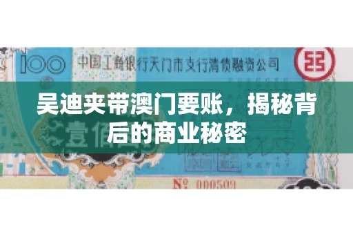 吴迪夹带澳门要账，揭秘背后的商业秘密