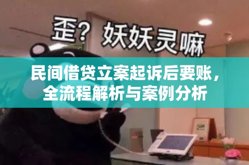 民间借贷立案起诉后要账，全流程解析与案例分析
