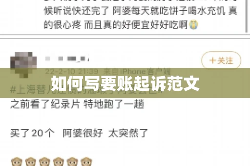如何写要账起诉范文