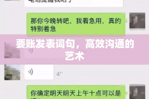 要账发表词句，高效沟通的艺术