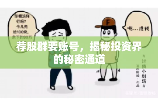 荐股群要账号，揭秘投资界的秘密通道