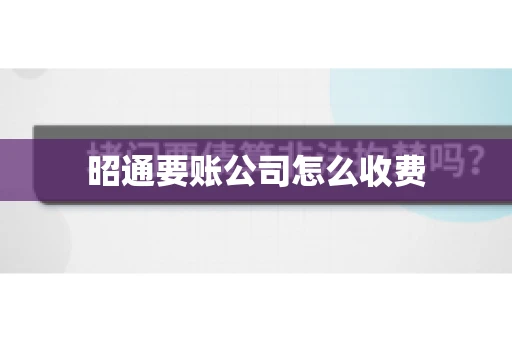昭通要账公司怎么收费