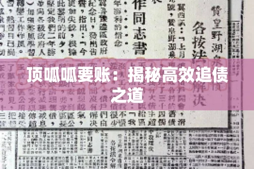 顶呱呱要账：揭秘高效追债之道