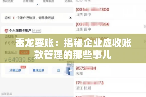 雷龙要账：揭秘企业应收账款管理的那些事儿