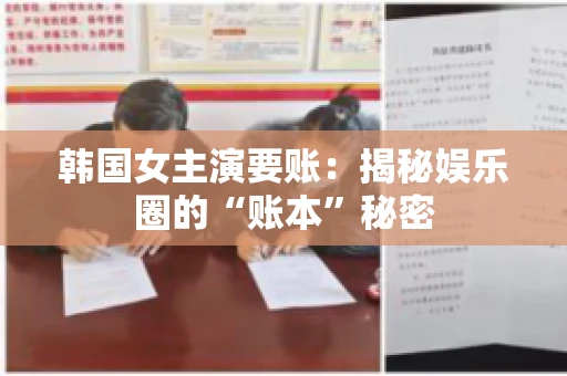 韩国女主演要账：揭秘娱乐圈的“账本”秘密