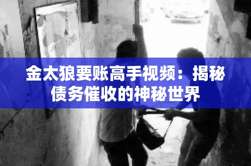 金太狼要账高手视频：揭秘债务催收的神秘世界