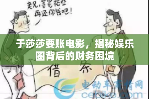 于莎莎要账电影，揭秘娱乐圈背后的财务困境