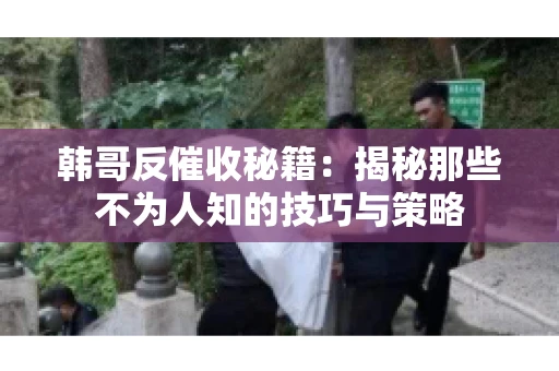 韩哥反催收秘籍：揭秘那些不为人知的技巧与策略