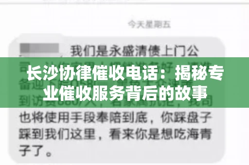 长沙协律催收电话：揭秘专业催收服务背后的故事