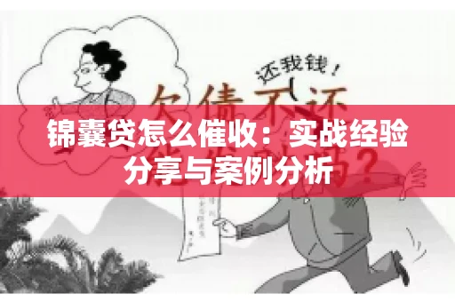 锦囊贷怎么催收：实战经验分享与案例分析